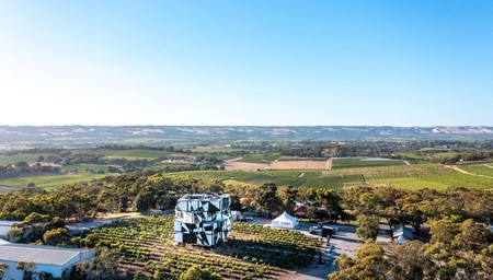 Sequoia Lodge to d'Arenberg: Elevated Art, Wine & Dine