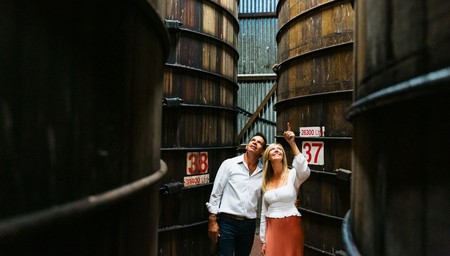 d'Arenberg Behind the Scenes Tour & Lunch