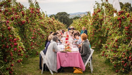 Around the Kitchen Table