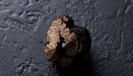 What's On: Winter Truffle Events