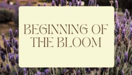 Beginning of the Bloom 2022