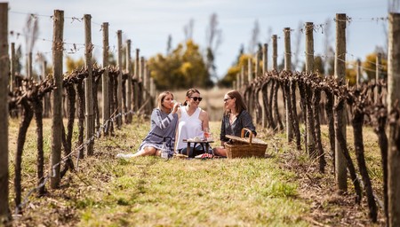 What's On in October