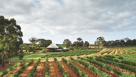Margaret River Fine Vines Festival