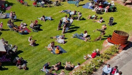 Chin Chin at Yalumba