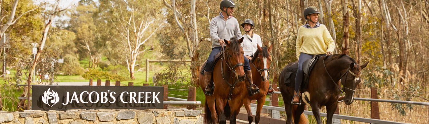 Scenic Trail Ride and Private Curated Tasting
