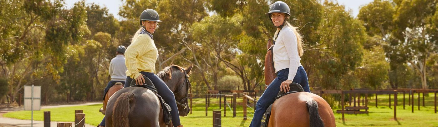 Vineyard Horse Ride and Tasting