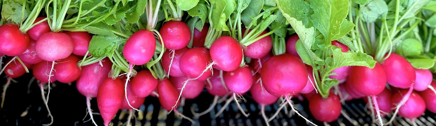 What's On in September