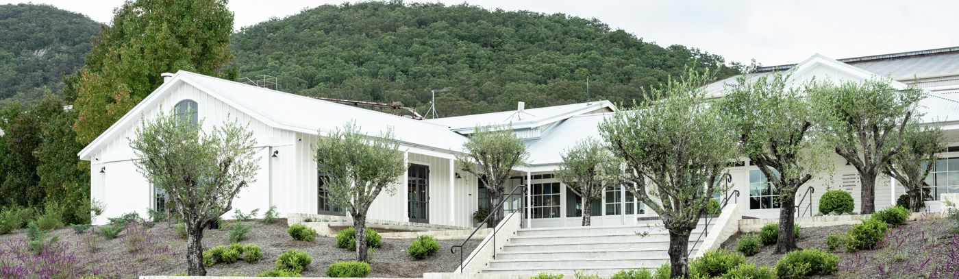 The Mothervine Experience