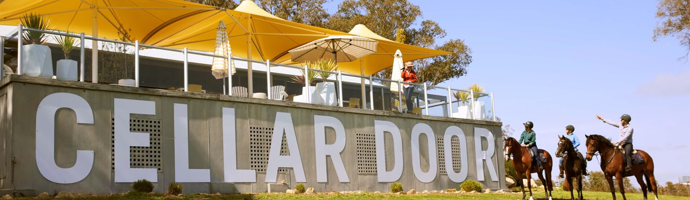 VIP private Horse Trail Ride & Lunch with Olympian Megan Jones