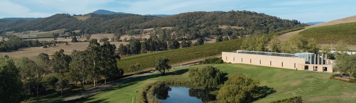 Vineyard Tour & Tasting