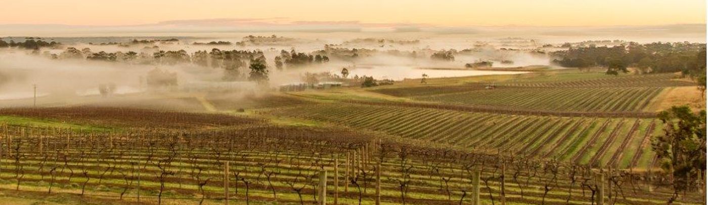 Icons of the Hunter Valley