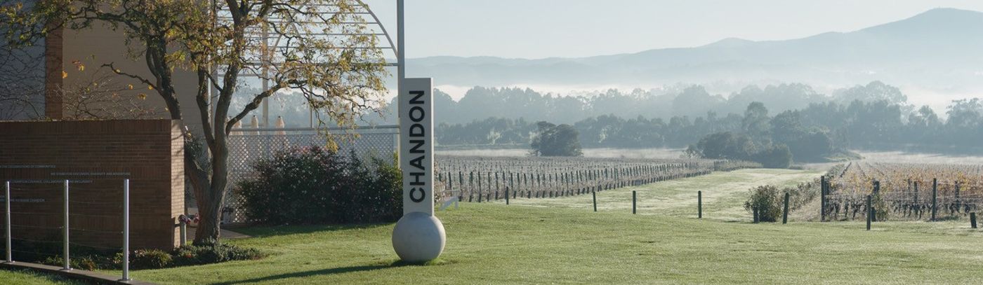 Sparkling Brunch and behind the Bubbles