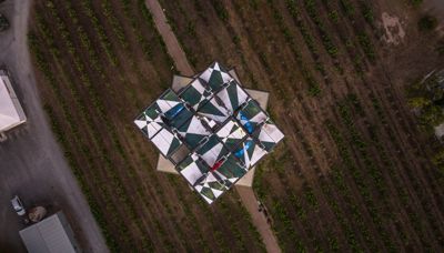 d'Arenberg forges toward sustainable future