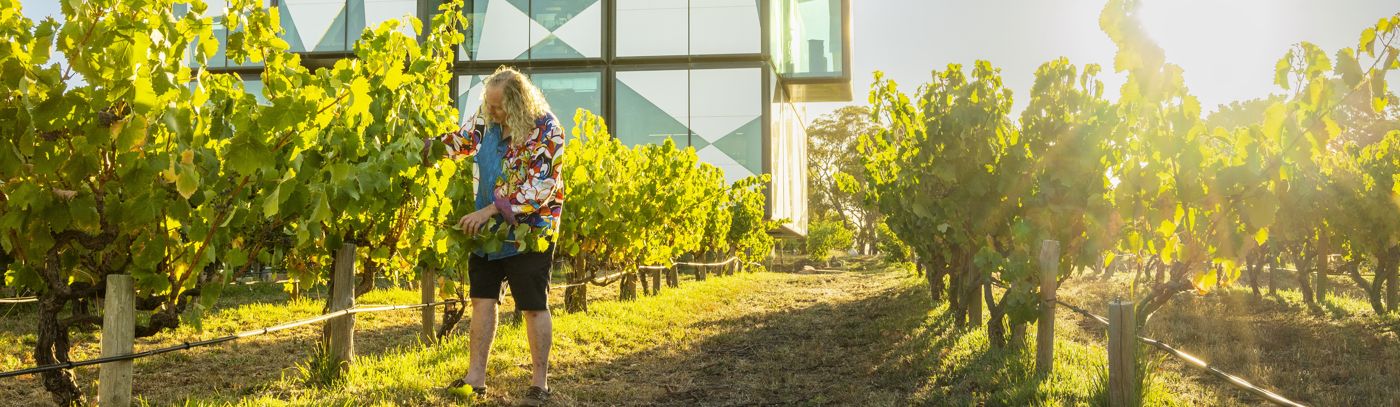 Decades of d'Arenberg with Chester