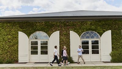 Time Out's Top 30 Wineries
