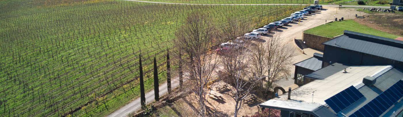 Team bonding at Feathertop