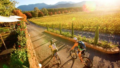 Autumn postcards from the vineyards