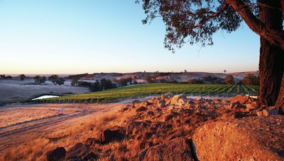 48 Hours in Victoria's Undiscovered Wine Regions