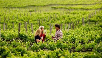 Ultimate foodie's long weekend