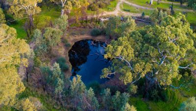 World Wetlands Day - 2 February