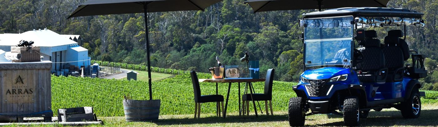 Wine, Wildlife and Vineyard Safari