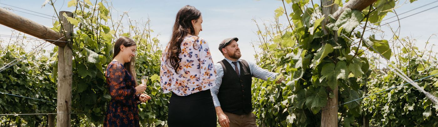 Wine, Wildlife and Vineyard Tour