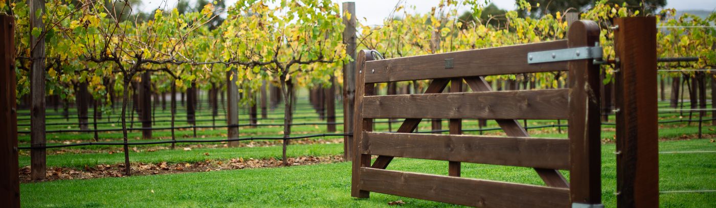 Chris Hemsworth visits the Barossa