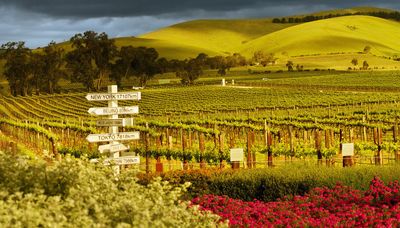 The Big Bold Barossa