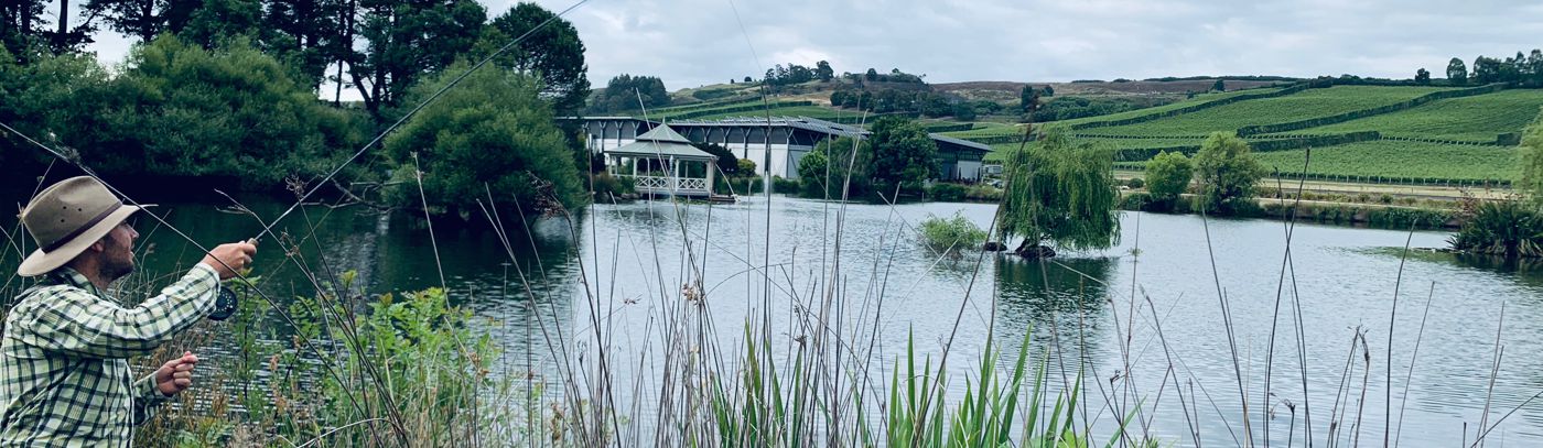 Combine Your Passions