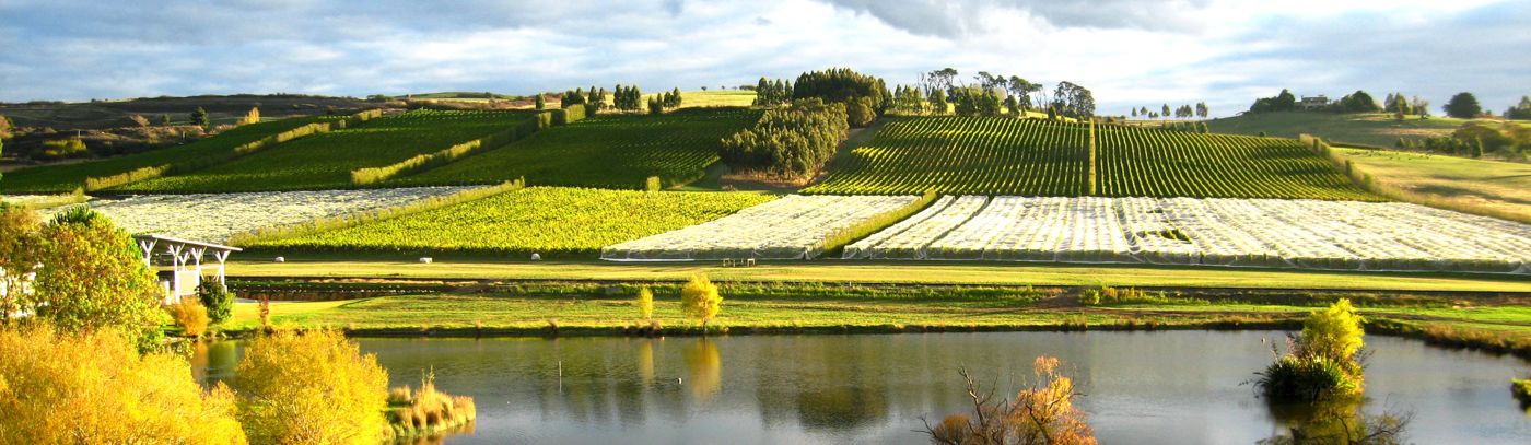 Festa - A Taste of Roma