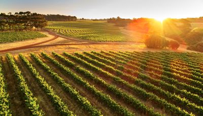 Best Cellar Door Awards