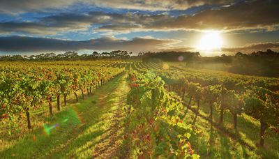 Live like a local in Margaret River