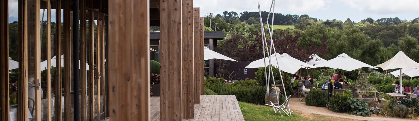 Montalto Announces New Artistic Partnership