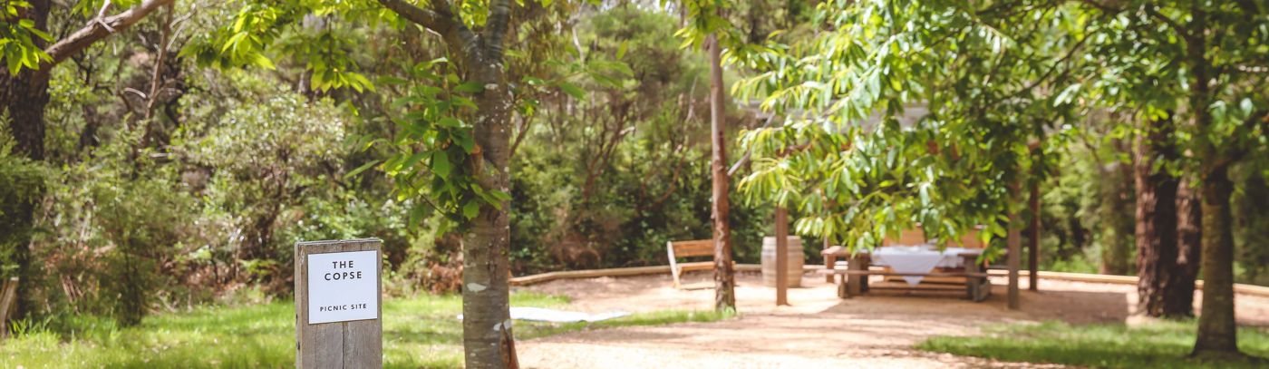 Autumn Private Picnics at Montalto