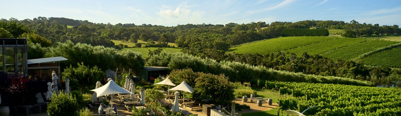 Behind the Scenes Winery Tour
