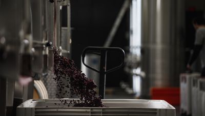 Meet the Characters: Conor van der Reest, Moorilla