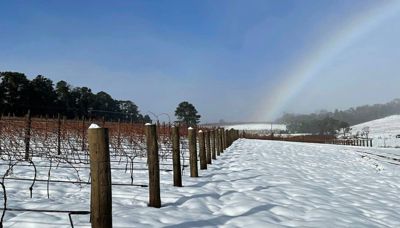 A Winter Weekend in Orange