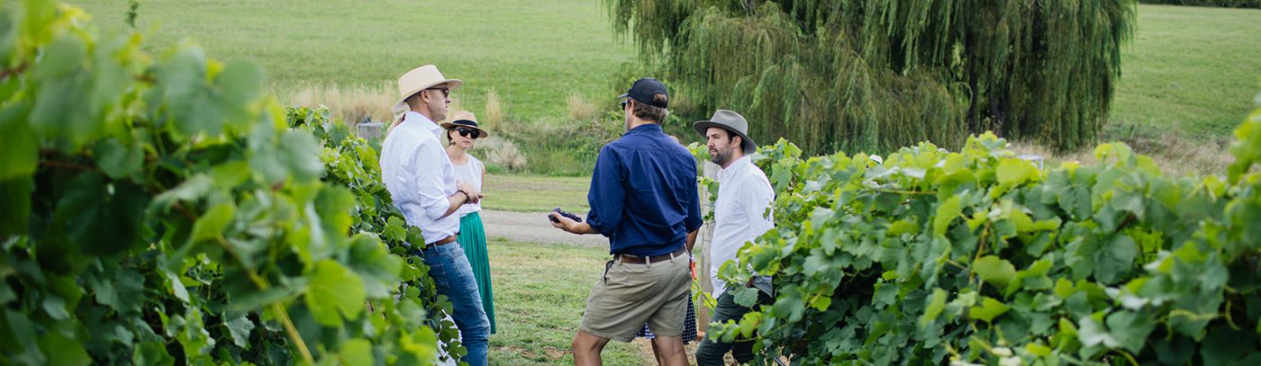 Discover life beyond the cellar door