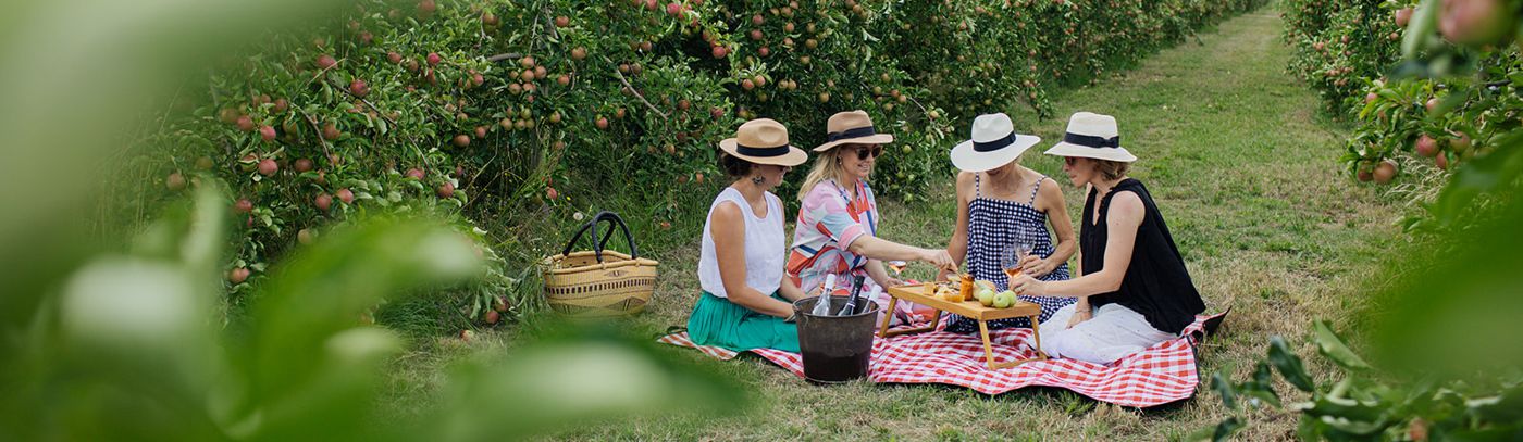 Printhie Picnic