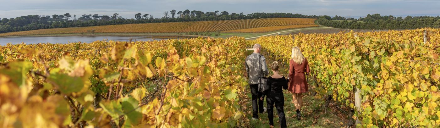 Pt. Leo Estate Vineyard & Wine Immersion with Lunch