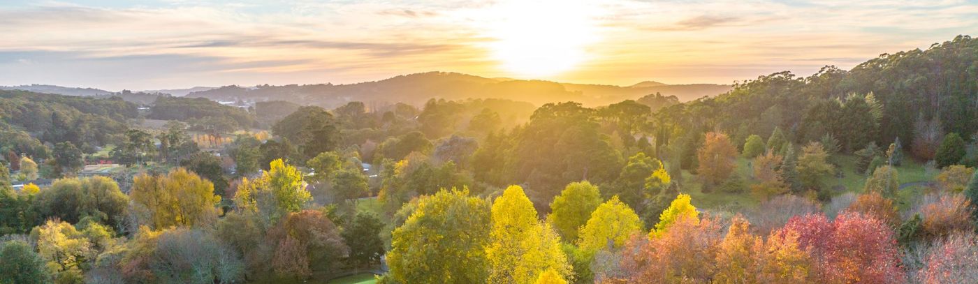 Tour The Barossa with Taste of SA