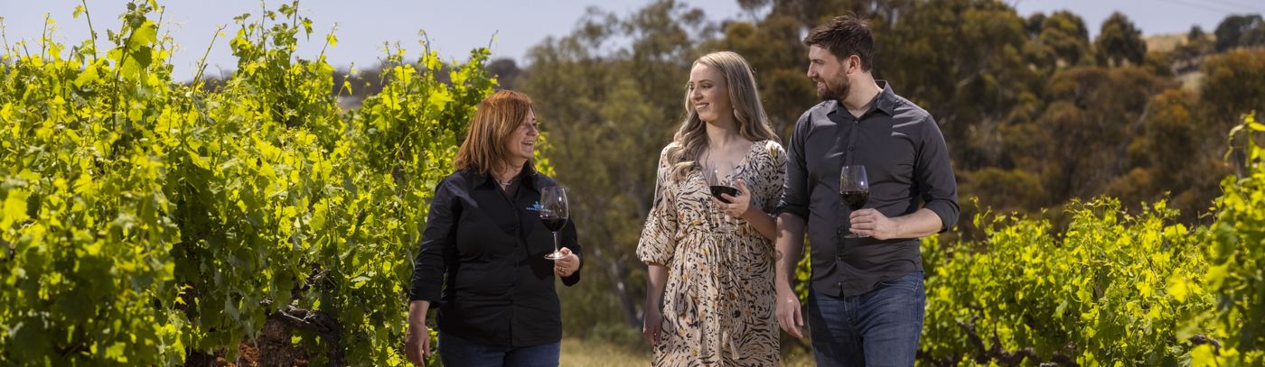 Great Terraced Vineyard Tour
