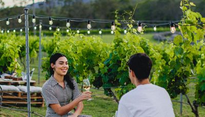 Twilight in the Vines at Sirromet