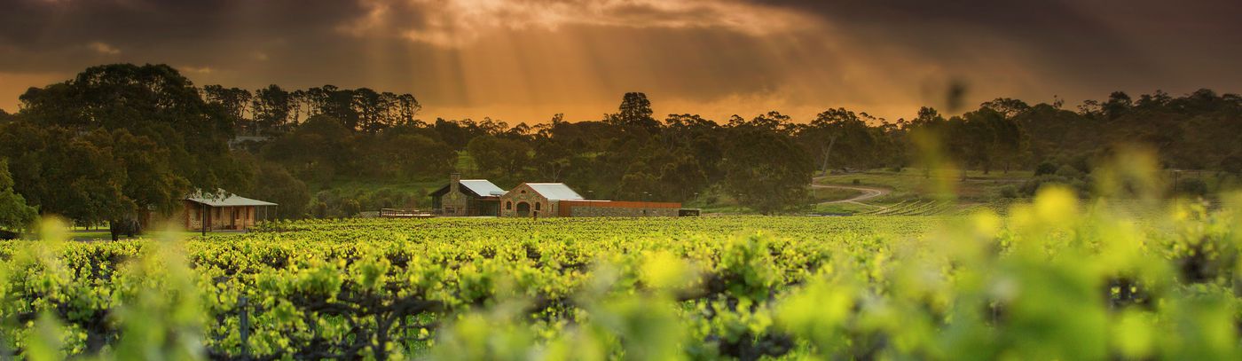 A Barossa Legend