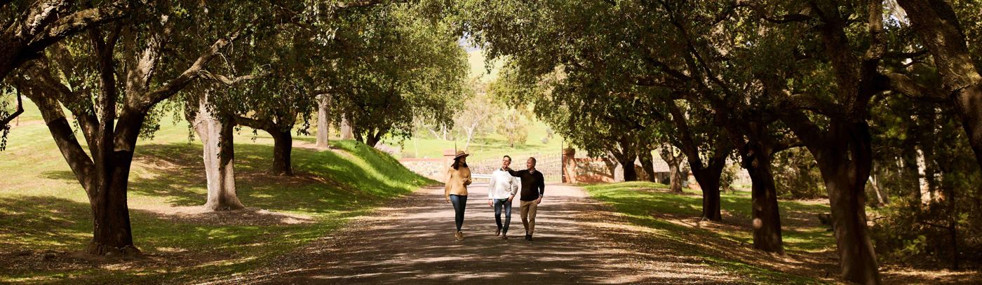 St Hugo - from Vine to Vault with Epicurean lunch