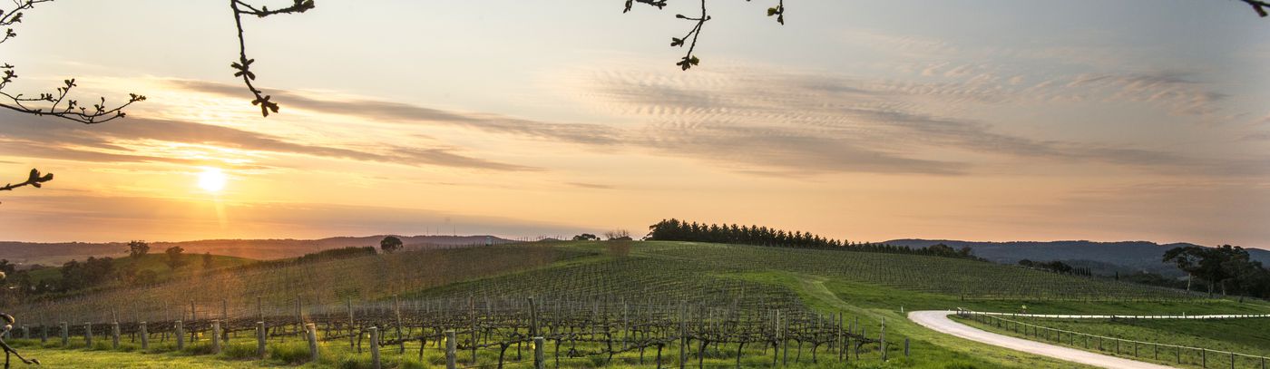 Wine Travel