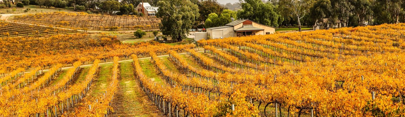 Yalumba Wine Weekend @ The Louise