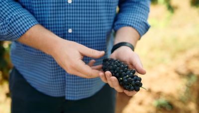 Tyrrell's Sustainable Winegrowing Australia certified